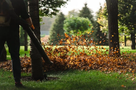 Wege mit herabgefallenem Laub in einer Wohnanlage