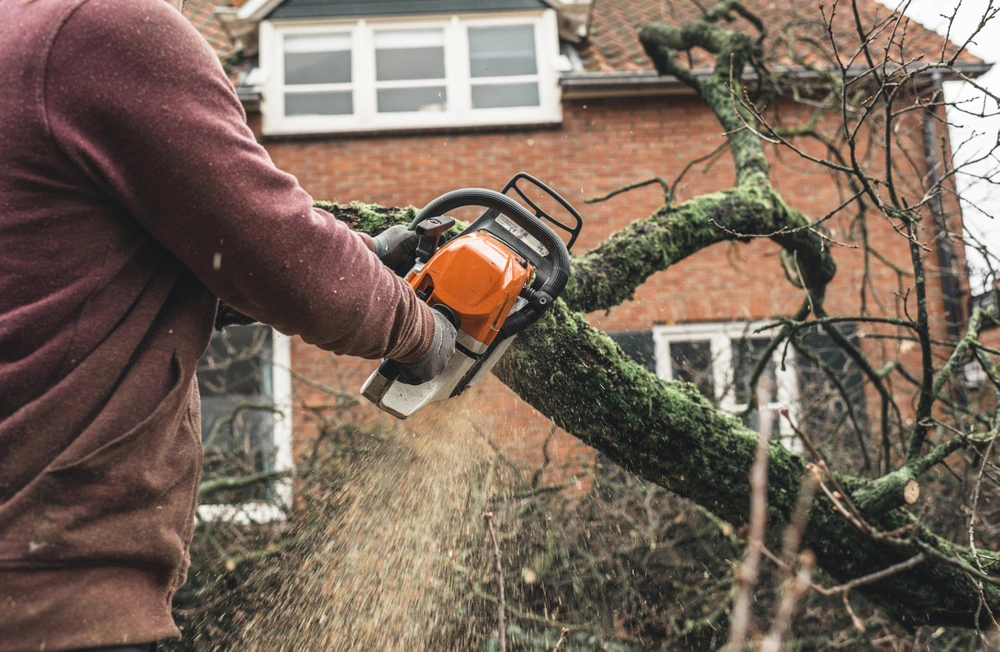 Gartenarbeiter fällt einen kleineren Baum mit Motorsäge
