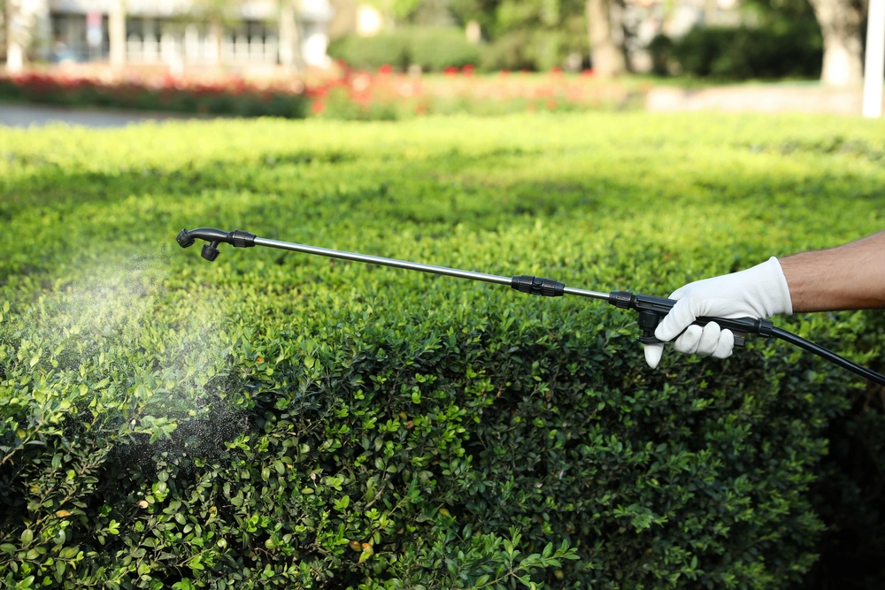 Aufgeräumter Garten nach dem Hecken- und Strauchschnitt