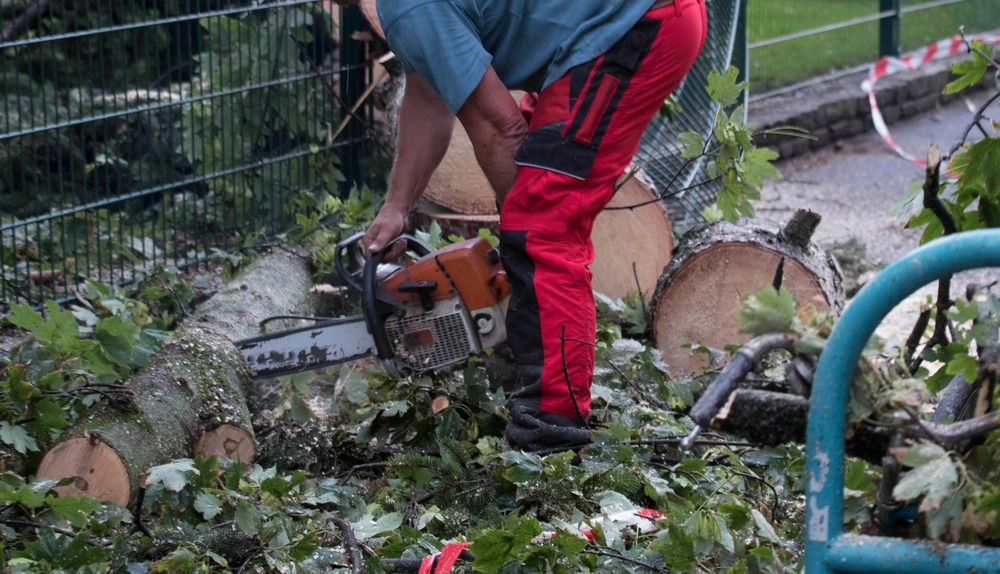 Gartenhelfer schneidet Brennholz