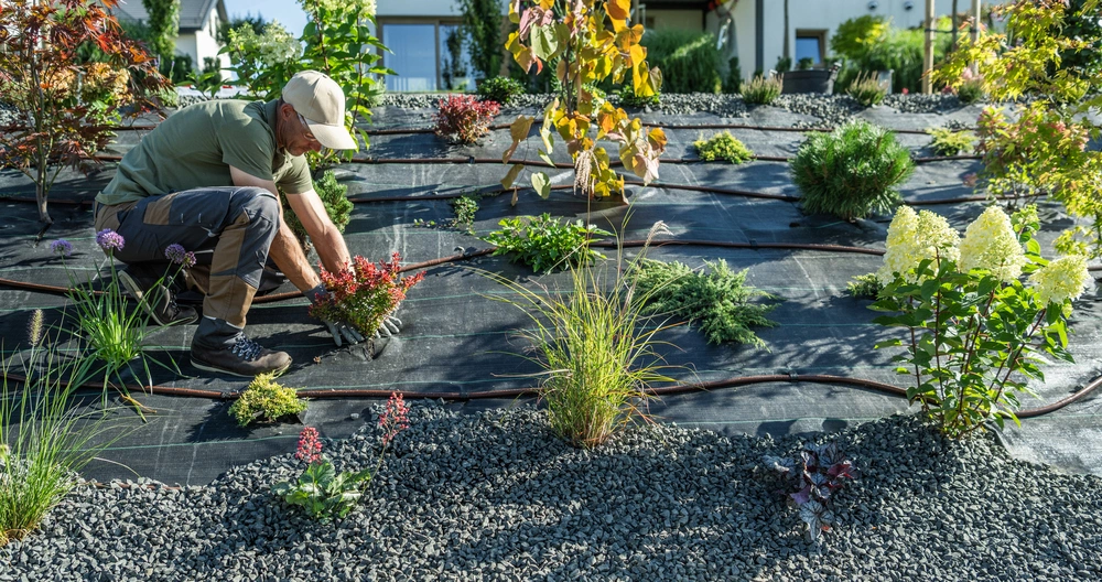 Neue Stauden werden in ein bestehendes Beet gepflanzt