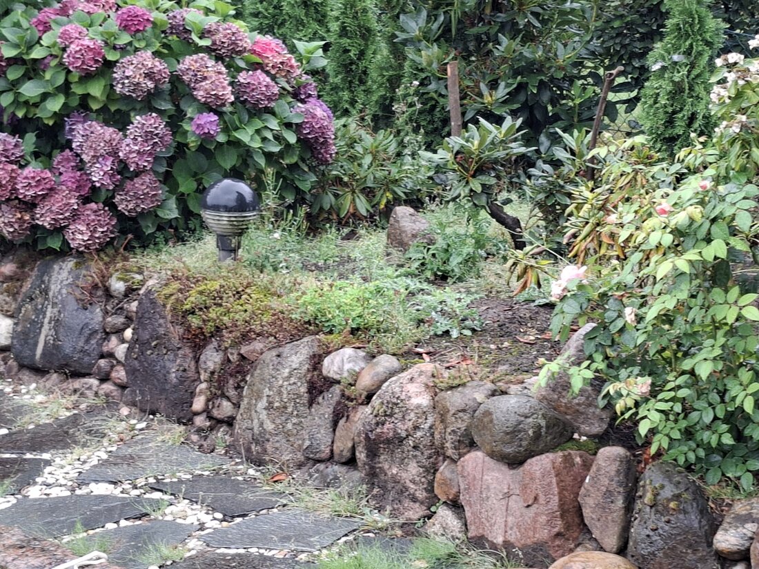 Vorher-Vergleich eines Gartenbeetes vor der Beetpflege